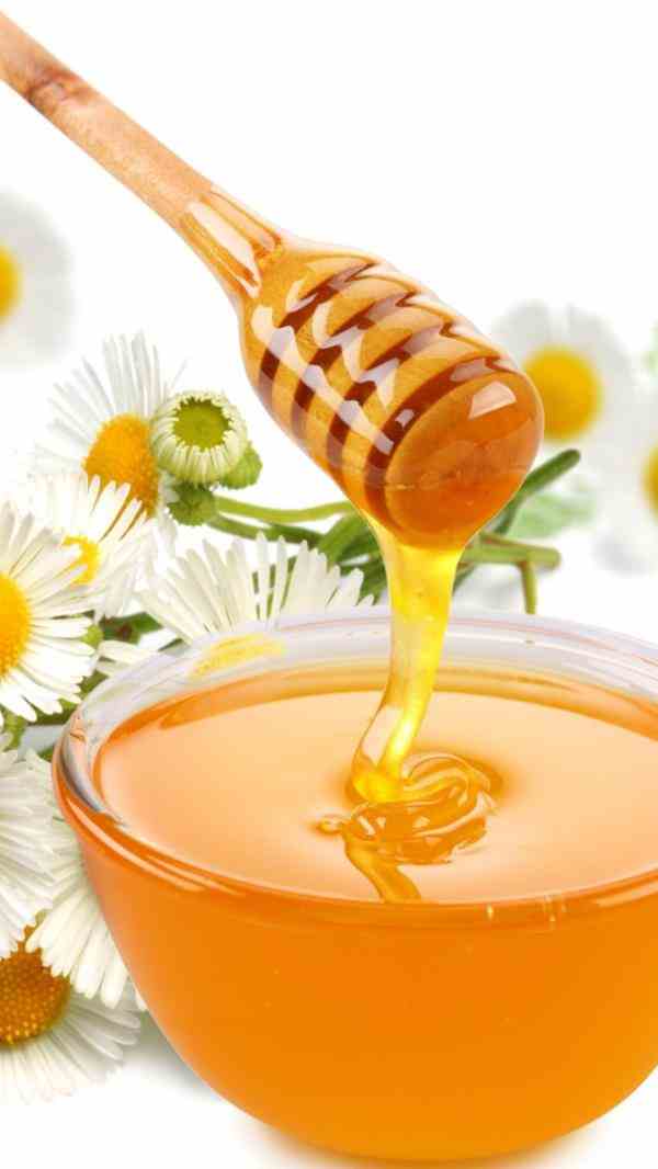 فروش عسل طبیعی ارزان 