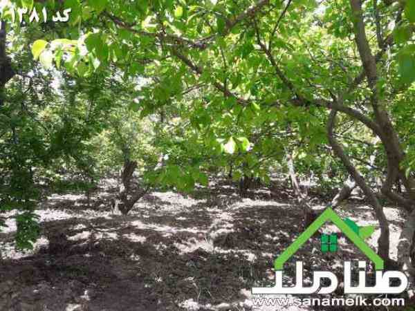 خرید و فروش باغ و باغچه در خوشنام ملارد کد1381