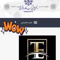  بیمه ای خدمات زیبایی  ایتراستE-Trust 