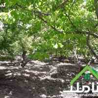 خرید و فروش باغ و باغچه در خوشنام ملارد کد1381