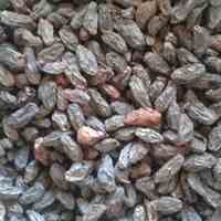 صادرات و واردات