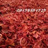 فروش گوجه خشک و پودر گوجه 