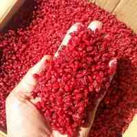 فروش زرشک تازه خرراسان جنوبی