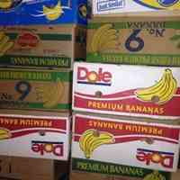 پخش و فروش کارتن موز