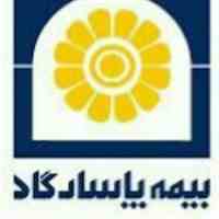 خانواده بیمه پاسارگاد حامی شماست