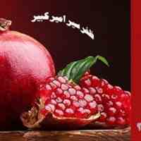 جشن ناردون ویژه یلدای 98
