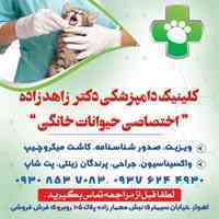 کلینیک دامپزشکی در اهواز(دکتر زاهدزاده_اختصاصی حیوانات خانگی و پرندگان)