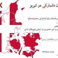 تدریس زبان دانمارکی