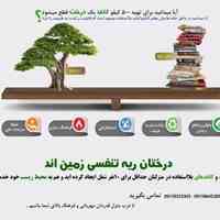 هر کتاب نجات یک درخت و یک طبیعت