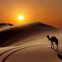 تور 2/5 روزه کویر مصر