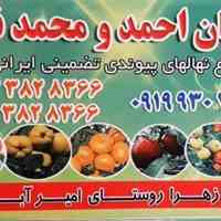 پیوند وفروش انواع نهال میوه و نهال پسته و...