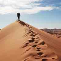 تور دونیم روزی کویر مصر