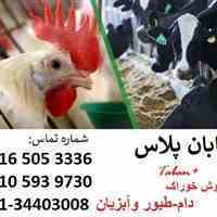  فروش خوراک دام-طیور وآبزیان