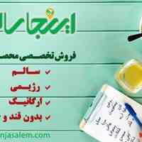 سایت اینجا سالم