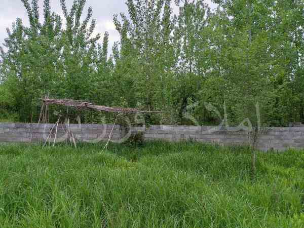فروش زمین 1000متری با کاربری باغی در لاهیجان