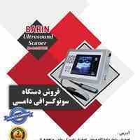 سونوگرافی دامی
