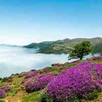 سفرهای منحصربفرد تعطیلات عید فطر 