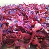 چای ترش اعلا ارگانیک
