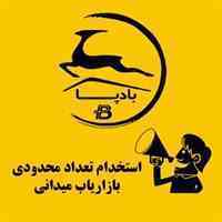 استخدام بازاریاب در شرکت پیک بادپا