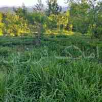 فروش زمین مسکونی باغی در اطراف لاهیجان