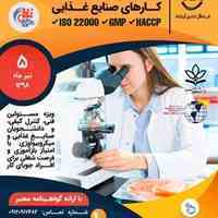 پکیج صنایع غذایی