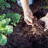 فروش کود ورمی کمپوست مرغوب - از 1 کیلو تا چند تن