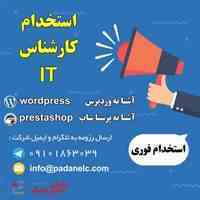 استخدام کارشناس IT