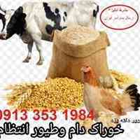 خوراک دام و طیور و ابزیان * کویر دانه یزد
