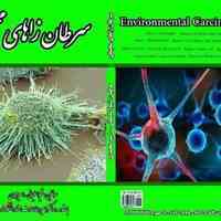ترجمه وتحقیق های دانشگاهی پذیرفته می شود