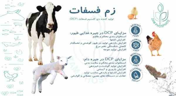 دی کلسیم فسفات Dicalcium phosphate  فوسفات الکالسیوم