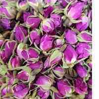 فروش غنچه گل محمدی