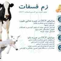 دی کلسیم فسفات Dicalcium phosphate  فوسفات الکالسیوم