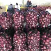 کیسه توری جهت بسته بندی پیاز و سیب زمینی  عمده فروش 