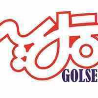 آژانس هواپیمایی گل سیر