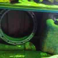 دنده چرخ حرکت