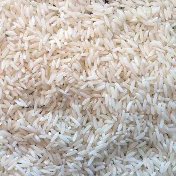 فروش برنج هاشمی اعلا تالش گیلان 