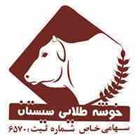 کشتارگاه صنعتی دام خوشه طلایی سیستان
