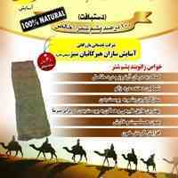 زانو بند پشم شتر آسایش