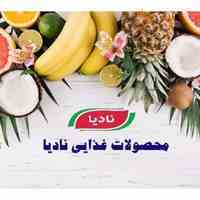 جذب نماینده فروش صنایع غذایی نادیا