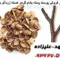 بازرگانی علیزاده