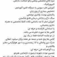 حجامت پاکسازی زالو بادکش طب سوزنی سنگ داغ