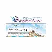 نازنین گشت