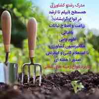 اخذ کارشناسی کشاورزی /شیلات باغبانی /با استعلام
