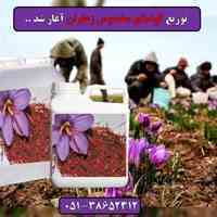 کود مخصوص زعفران.افزایش گل دهی زعفران.قیمت کود زعفران.کود مایع زعفران گناباد
