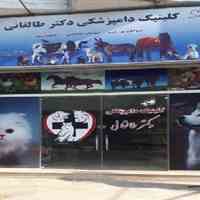 دامپزشکی در آستانه اشرفیه