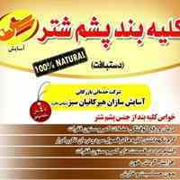 کلیه بند پشم شتر