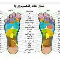 ماساژ فول و حرفه ای تمام افراد