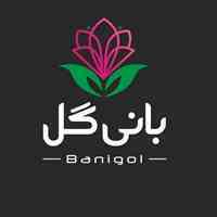 فروش مستقیم انواع پیاز گل درجه یک از مزارع کشور هلند