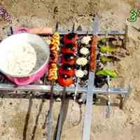 منقل مسافرتی لیوزاد