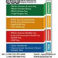 خدمات توالی یابی NGS